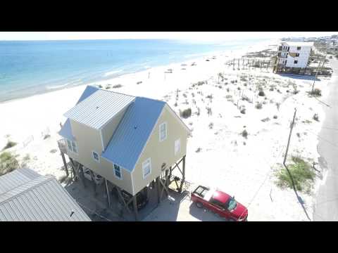 image-Are dogs allowed in Fort Morgan Alabama?