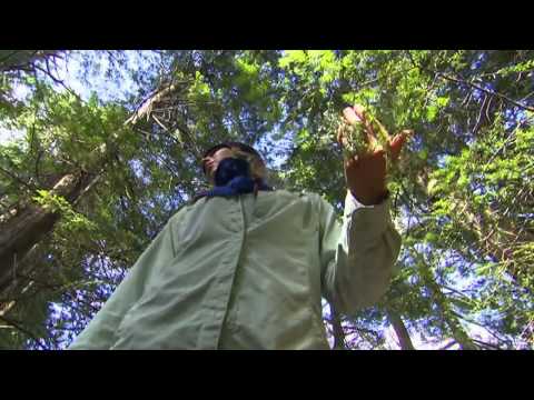 Cartoon Network: Survive This - Trailer [HD]