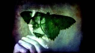 Swallow The Sun- Plague Of Butterflies/III. Evael 10:00