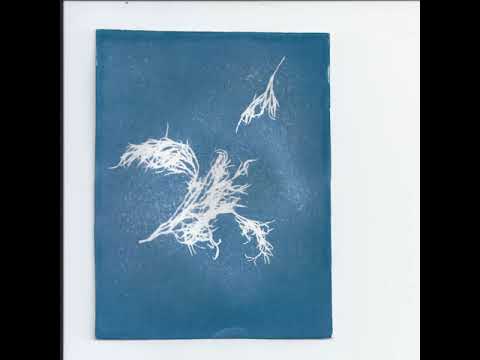 Yethiel - Garden Session (Volca Modular, Live 2020-09-24)