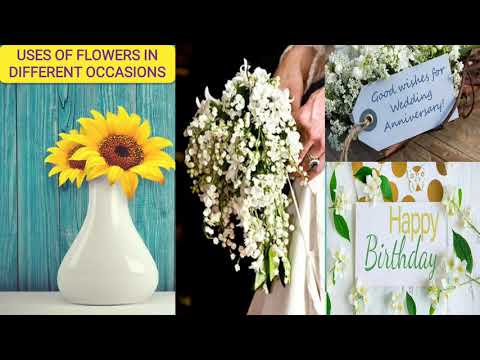 #Class_nine_EFT #U-9 #L-3 #Floral_Career