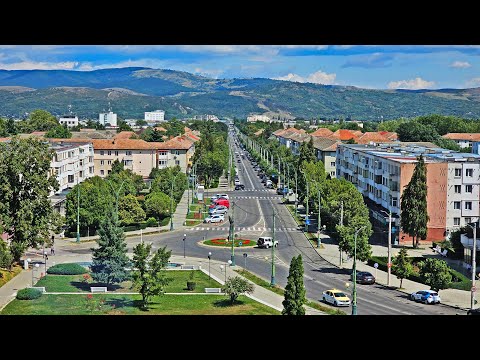 De la Bacău la Onești. O pisică pescuiește pe râul Cașin