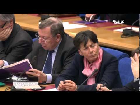 Behind the Law - Marriage for All: The Battle in the Senate