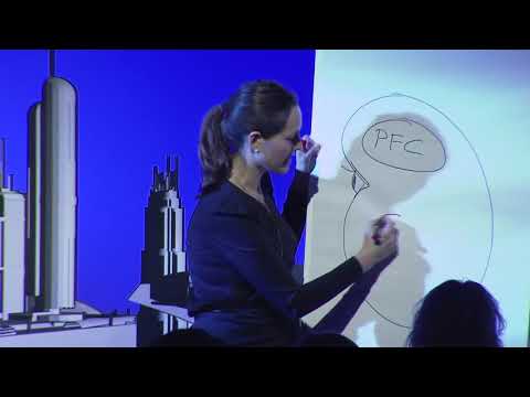 Why the Limbic System always wins