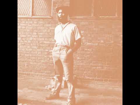 The Dub Band - Dub Land