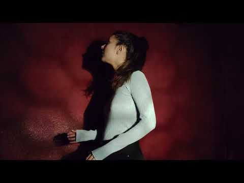 Teaser - La vie des abeilles 