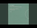 J.S. Bach: Brandenburg Concerto No.1 in F, BWV 1046 - IV. Menuetto - Trio 1 - Menuetto -...