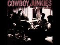 COWBOY JUNKIES  'I Don't Get It (mono)    4:35