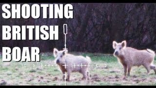 Fieldsports Britain – White wild boar and university clay championships (episode 122)