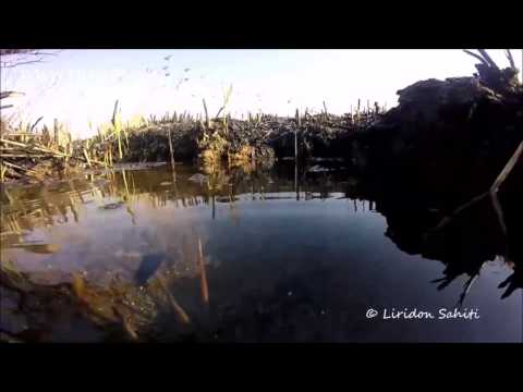 Vrella e Miratocës, bukuri e rralle natyrore!