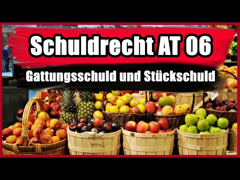 Particular debt and generic debt - Law of Obligations AT 06