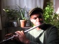 'Passion' by Hot Club of Detroit, flute improvisational cover by Dameon Locklear