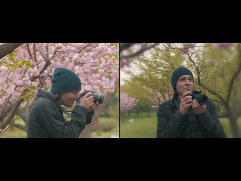 Ares & Bvcovia - Saruta-ma (Official Video)