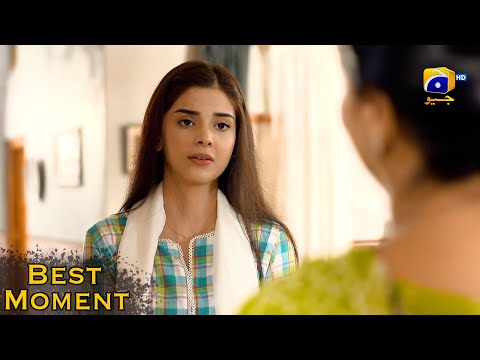 Nikah Episode 42 | 𝐁𝐞𝐬𝐭 𝗠𝗼𝗺𝗲𝗻𝘁 𝟎𝟖 | Haroon Shahid | Zainab Shabbir | HAR PAL GEO