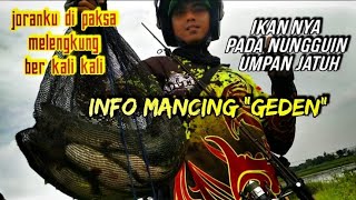 Download lagu MANCING IKAN GABUS HARUAN DI MUSIM HUJAN,MENEMUKAN SARANG IKAN YANG KELAPARAN,MANCING DI SIDOARJO mp3 Download lagu MANCING IKAN GABUS HARUAN DI MUSIM HUJAN,MENEMUKAN SARANG IKAN YANG KELAPARAN,MANCING DI SIDOARJO mp3