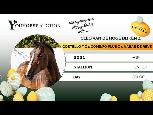Cleo van de Hoge Dijken Z