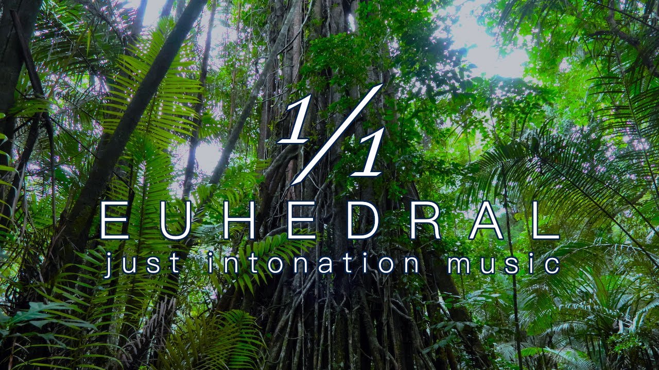 癒し・リラックス・瞑想のための純正律音楽 ｜ EUHEDRAL ライブBGM 🌿 A=432Hz｜24時間エンドレス配信