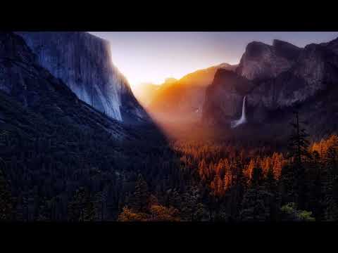 Indukti - Nemesis Voices