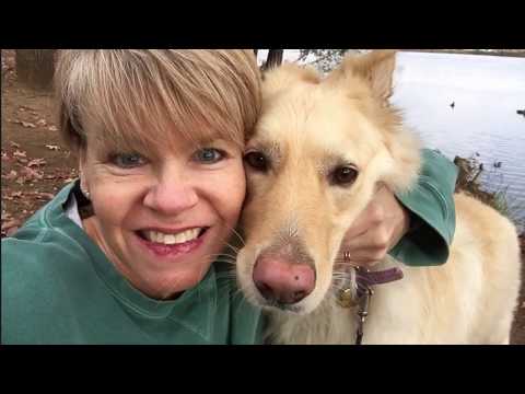 How to Lose Fat FAST