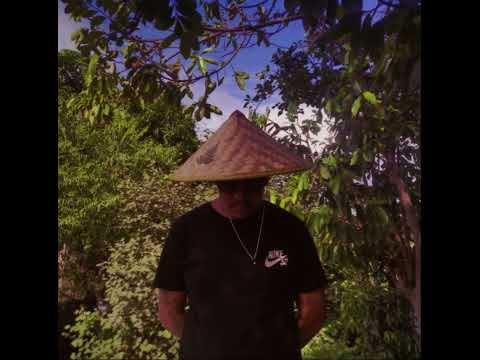 ZETA DISTORSION - SIX WAYS