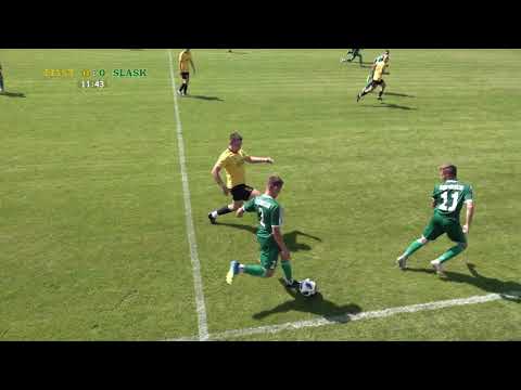 Sparing Piast Żerniki - Śląsk Wrocław U18 1:2 (1:0) 25.07.2020 r.