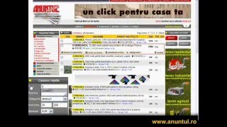 Anuntul Telefonic - prezentare site