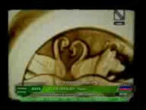 pentru cristina balan cirnateni.3gp