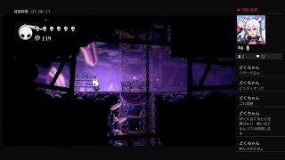 ホロウナイト　10