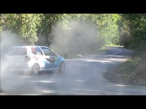 Dejan Pejic / Dusan Djokovic - 54. Serbia rally 2021 - VW Polo 1.4 Gr. A