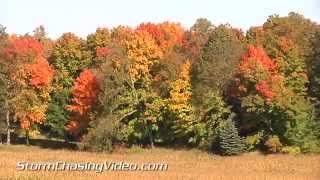 preview picture of video '9/26/2014 Stearns County, MN Vivid Fall Colors'