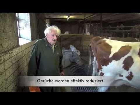 Cumbasil zur Güllebehandlung