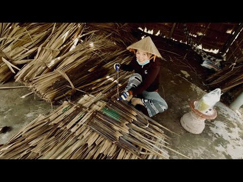 Traditional Village Life in Mekong River Delta 🇻🇳 Vietnam Village 2023
