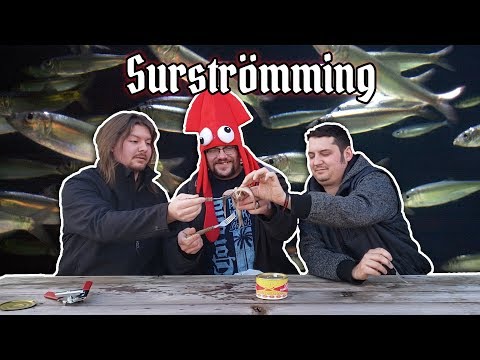 Americans Try Surstromming | Stinky Fish Challenge