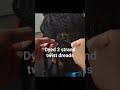 Dyed 2 Strand Twist Dreads Twist Youtube Hairstyle Dreads Viral Hair Shorts
