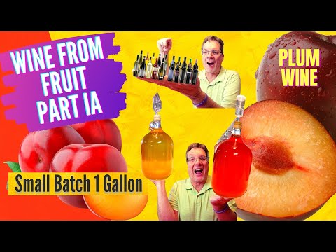 How to Make Wine from Fruit - Plum Wine Recipe - Small Batch Wine Part IA