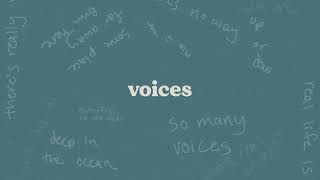 Voices Music Video