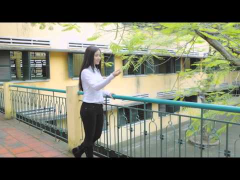 Vạt áo trong mơ - Hồng Kim Hạnh