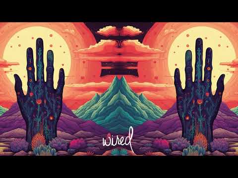 Vasco C & Milen DJ - A La Mano (Original Mix) [Wired]