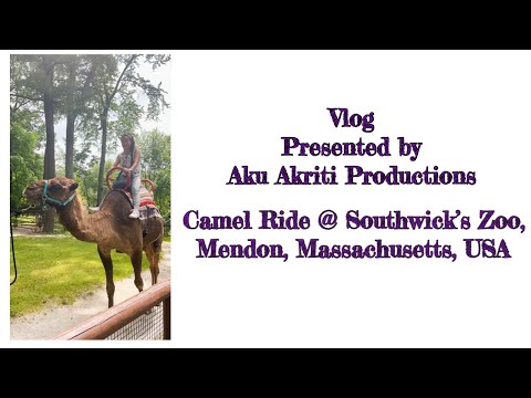 My First Camel Ride | Southwick’s Zoo, Mendon, Massachusetts, USA | Vlog by Aku Akriti Productions