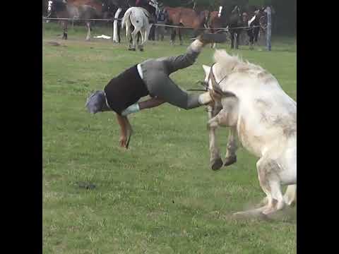 Broche de oro en Clina en San Javier Santa Fe Parte 1