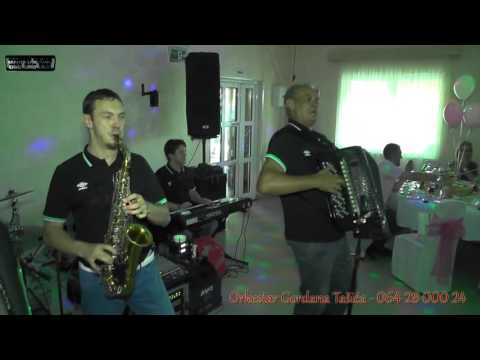 Orkestar Gordana Tasica - L Vlajna MIX, Izvor, Pozarevac 2016