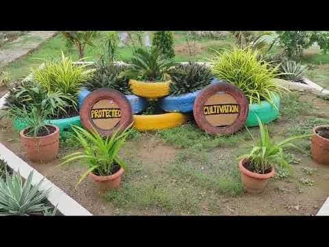 Smart Agriculture Video 2