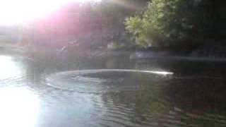 Barca Radiocomandata