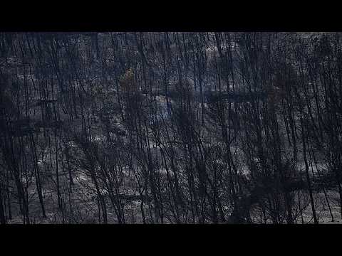Video Thumbnail: Fast-moving wildfire spreads across southern France