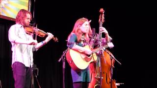 The Stray Birds Adelaide Live - Grateful Fred's