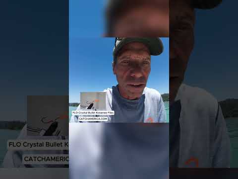 Bullards Bar Reservoir Fishing Report | June 9, 2025 video