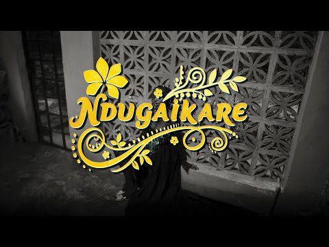 Teslah  - Ndugaikare (Official Visualizer)