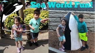 SeaWorld San Diego Fun Kids Vlog- AverysPlaytime