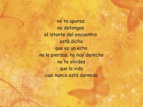 Flores Amarillas - Floricienta