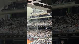 【PREMIER12 STARS】日本VS韓国@台北ドーム20241115 #台湾チア #cheerdance #cheerleading #啦啦隊 #韓国チア #premier12stars